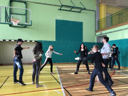 Mladi iz različnih evropskih držav z učenci OŠ Šalovci o digitalizaciji 1